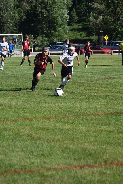 球队中必须 球队中必须