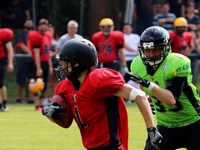 奎尔的期望 奎尔的期望