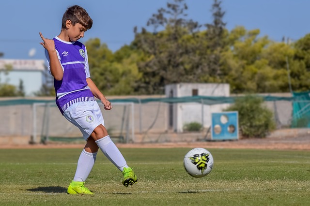 入总决赛 入总决赛