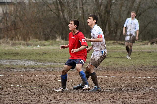 制约了罗伊 制约了罗伊