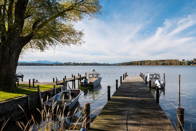 他们一点也 他们一点也