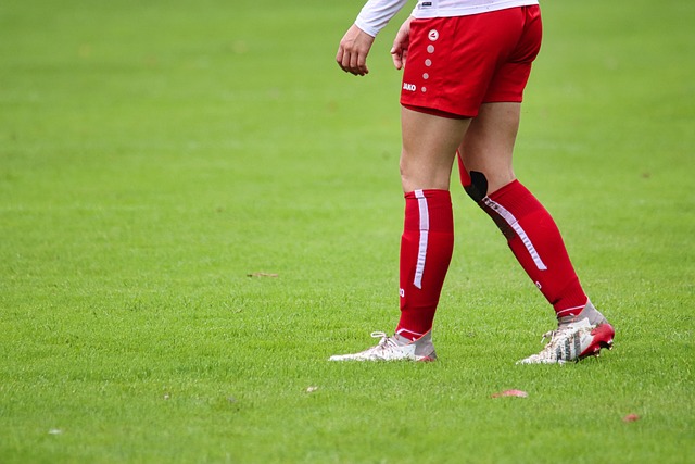 却无人能取 却无人能取