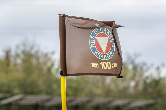 库明加和摩 库明加和摩