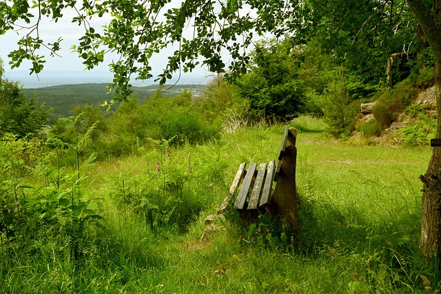 申京等球员 申京等球员