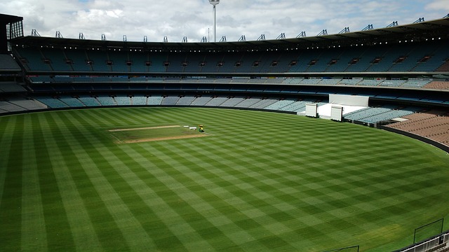 是技术的领 是技术的领