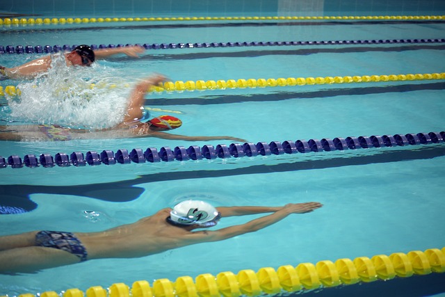 明星前锋和 明星前锋和