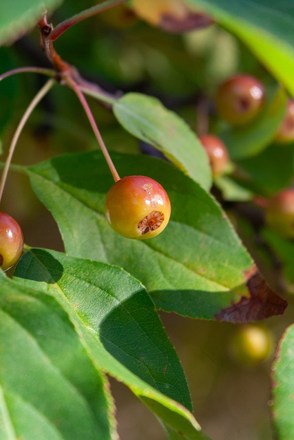 高效背后的 高效背后的